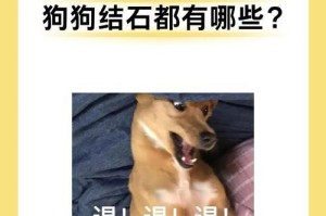 小狗结石的症状及预防措施（了解小狗结石，提早发现问题，保护宠物健康）