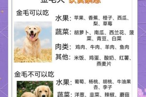 小金毛的寿命有多久？（探索小金毛平均寿命及其关键因素）