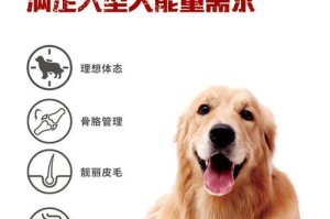 成年阿拉斯加每日狗粮摄入量的合理安排（找到适合你的阿拉斯加狗狗的饮食平衡点）