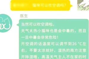猫咪怕热吗？如何有效降温？（科学应对炎热天气，）