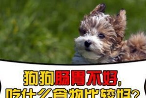 为什么狗狗没劲吃什么拉（探究狗狗食欲不振的原因及解决方法）