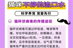 人猫共患的传染病（探索人与猫之间可能共患的传染病及其防治措施）