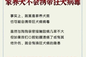 注射疫苗，守护爱宠的健康（以铲屎官的责任与担当）