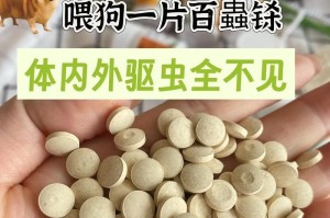 狗狗常见虫害及防治方法（了解常见狗狗虫害，保护它们的健康）