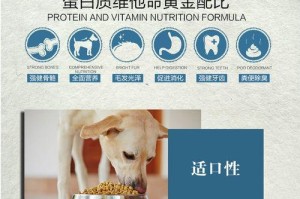 为什么以德牧不能以蛋白为主食？（探究德国牧羊犬食谱中蛋白摄入的合理性）