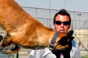 深入了解以牧羊犬比赛的魅力（探索牧羊犬比赛的技艺与激情）