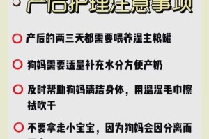 母狗生完后多久才能放任不管？（了解母狗产后护理及放任期限的关键信息）