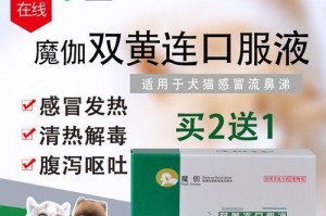 泰迪拉希的常见用药指南（了解泰迪拉希吃药的注意事项，做好宠物保健）