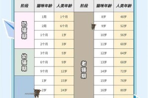 幼猫学习走路的时间和过程（探索幼猫学习行走的关键阶段及其特点）