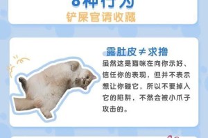 揭秘猫咪不喜欢你的6个行为（猫咪表达不满的秘密暗号，你中了吗？）