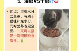 小猫大小便的频率及规律（了解小猫的大小便行为和习惯，）