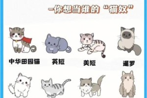 新手养猫首选品种和价格（选择适合新手的猫咪品种，了解价格分别是多少）