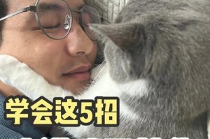 猫咪为何不喜欢被抱？（解析猫咪行为的关键因素）