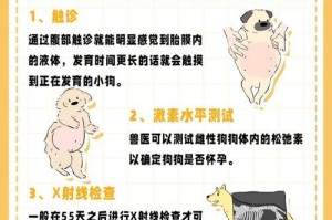 狗狗怀孕需要多久吃避孕药？（了解狗狗怀孕周期，选择适当的避孕方法）