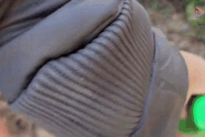 为什么狗狗最近掉毛严重？（探寻造成狗狗掉毛严重的原因及解决方法）