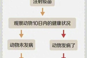 狗狗打狂犬疫苗的频率与注意事项（狗狗打狂犬疫苗的时间间隔及保护措施）