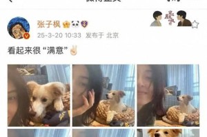 名星中长得像狗的明星有哪些？（探索娱乐圈中与狗相似的名人，解密他们的共同特征）