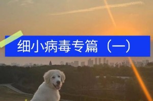 狗细小病的症状和治疗方法（了解狗细小病的常见症状及预防措施，守护宠物健康）
