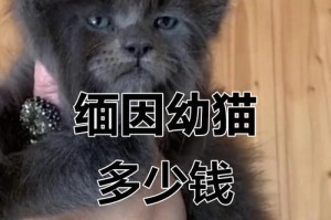 缅因猫（探索缅因猫幼崽的价格，及其独特的优点与缺点）