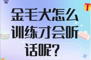 培养听话的金毛犬（打造温顺可靠的金毛伴侣，关键在于...）