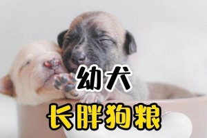 幼犬快速成长的关键——合理的饮食（幼犬成长需要的营养和食物选择）