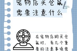 养仓鼠的注意事项（宠物仓鼠的养护和饲养技巧）
