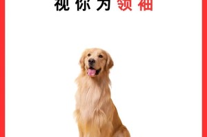 犬的行为世界（探索犬的行为世界，解读每个动作背后的意义）