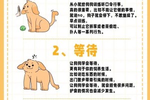 狗吃完后多久运动合适？（探究狗吃后运动的最佳时机）
