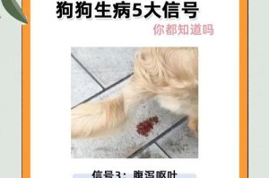 狗狗生病的表现与症状（狗狗生病的迹象，如何判断狗狗是否生病）