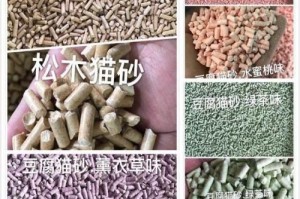 揭秘猫咪到处拉屎的原因（探索猫咪习惯排便的关键问题）