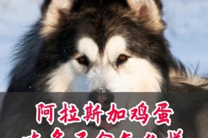阿拉斯加禁止食用的水果（了解阿拉斯加不可食用的水果种类及其原因）