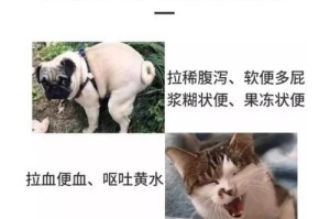 犬瘟病（探究犬瘟病对狗狗寿命的影响及预防措施）