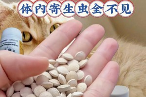 狗狗吃驱虫药的最佳时间与注意事项（科学驱虫，关爱宠物健康）