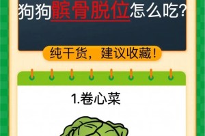 泰迪狗的饮食和肥胖问题（泰迪狗饮食管理的关键）