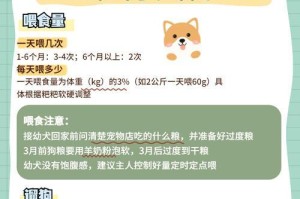 以比熊不到两个月的饮食安排（营养均衡的喂养方式与注意事项）