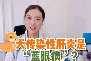 以犬传染性肝炎的治疗和预防方法（保护宠物犬的眼睛健康，从治疗和预防入手）