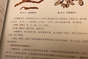 犬瘟热怎么办？探讨狗狗发烧时的药物治疗方式（了解犬瘟热的症状与治疗药物，守护爱宠的健康）