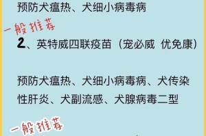 成犬疫苗接种指南（保护爱宠健康，每年必打的犬疫苗详解）