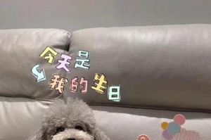 贵宾犬的忠诚之情（探寻贵宾犬对主人的情感认同过程）
