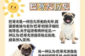 夏季掉毛的巴哥犬该如何护理？（探究巴哥犬夏季掉毛的周期和护理方法）