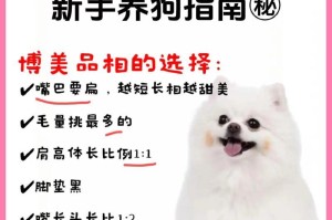 以俊介犬与博美犬的价格和区别（探究两个犬种的价格差异及特点）