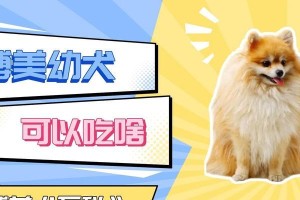 泰迪幼犬的饮食需求及可食用物品解析（探索泰迪幼犬营养需求的奥秘与合理饮食建议）