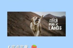科学喂养拉布拉多犬的关键技巧（细节决定一切，让爱宠拥有健康与幸福）