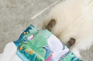 如何解决猫拉屎太臭的问题？（选择适合的猫粮，让猫咪健康又舒适）