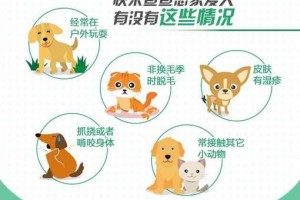 宠物狗体内驱虫的重要性（了解为什么要定期给宠物狗体内驱虫）