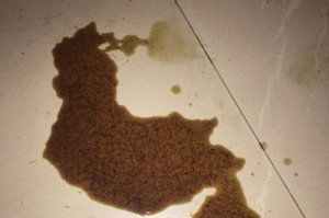 狗狗细小的饮食选择——寻找健康的美食（为你的狗狗提供营养均衡的食物，让它远离细小的困扰）