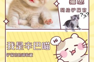 猫的妊娠期及其关键时刻（猫的妊娠期长达多久？了解猫妊娠期的关键信息。）