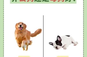 母狗配种完后多久洗澡合适？（配种后恢复期多久？）