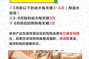 如何让你的狗狗健康增胖（饮食营养和适当运动是关键）