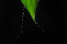 怀孕后身上有黑色的水流出，这是怎么回事？（了解身体变化中的黑色分泌物）